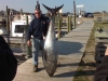 Outer Banks Fishing Guide