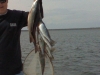 Hatteras Fishing Guide