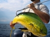 Outer Banks Offshore Fishing