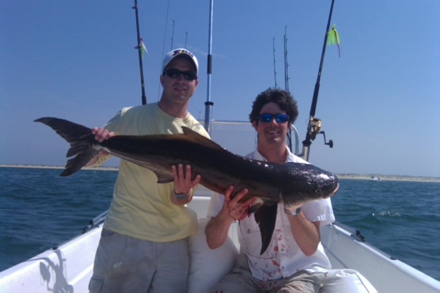 Outer Banks Cobia Fishing Charters in Hatteras, NC by Fingeance  Sportsfishing Charters