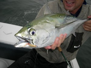 OBX Fly Fishing