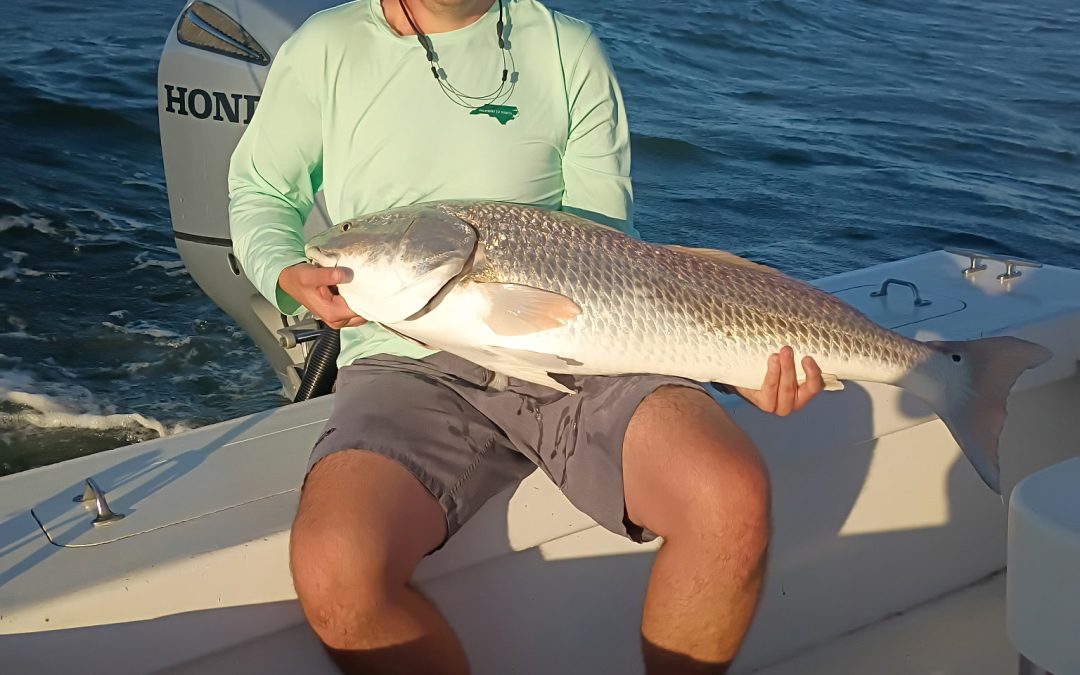 Hatteras NC Fishing Report: Bluefish, Red Drum, Cobia & Tarpon Action